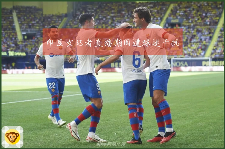 印度女记者直播期间遭球迷干扰