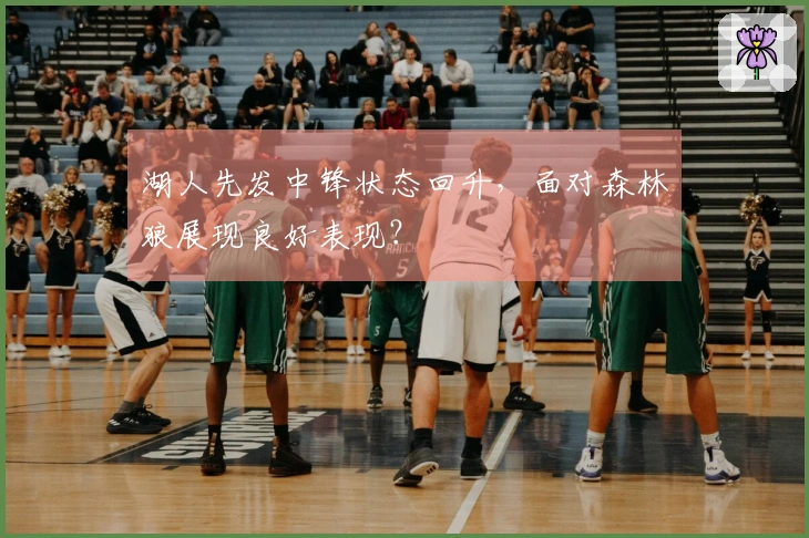 湖人先发中锋状态回升，面对森林狼展现良好表现？
