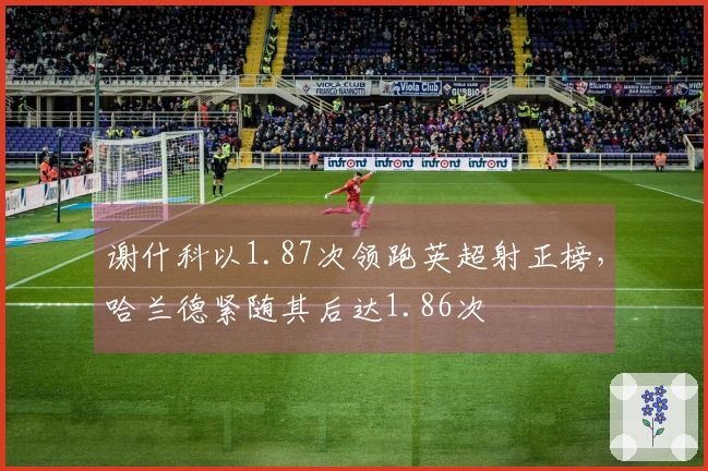 谢什科以1.87次领跑英超射正榜，哈兰德紧随其后达1.86次